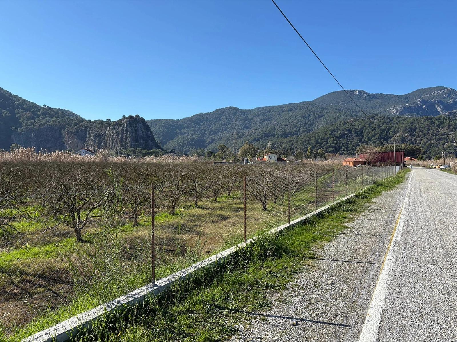 5985 M² Großes Grundstück In Dalyan Zu Verkaufen, Ausgewiesen Für 5 % Weinbau/Obstbau.