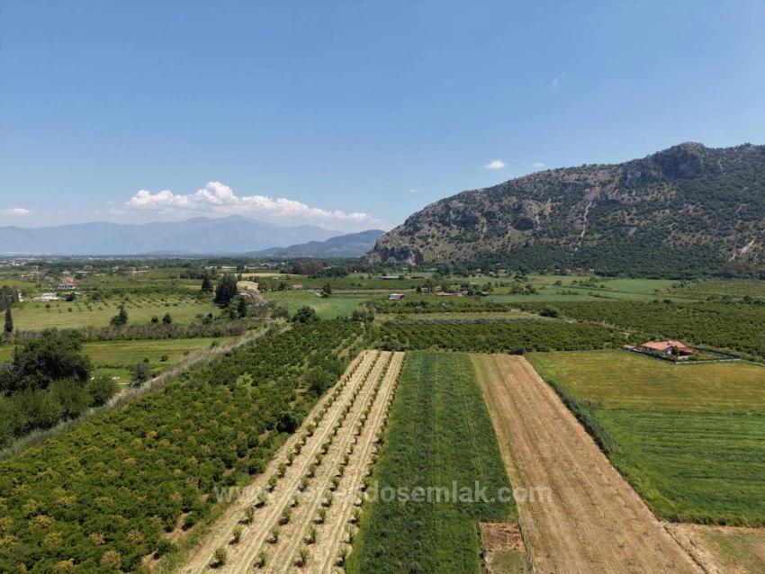 5100 M² Großes Grundstück In Der Nähe Des Stadtzentrums Von Dalyan Zu Verkaufen.