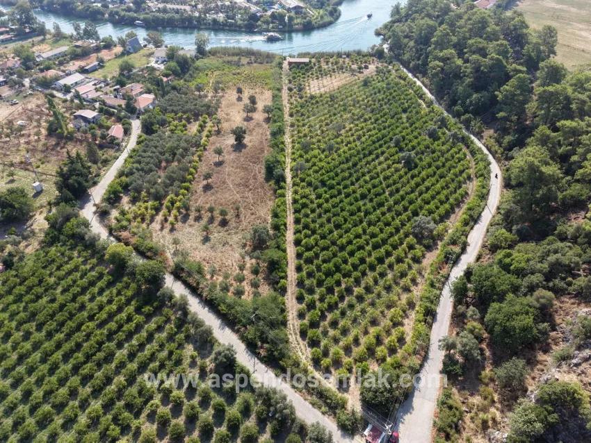 Feld Zu verkaufen in Çandır Bz. Köyceğiz - Feld-Zonierung - 20.000 m²