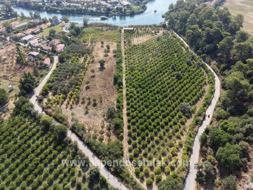Im Köyceğiz Çandır Mahallesinde kanala sıfır 20.000m2 satılık Feld