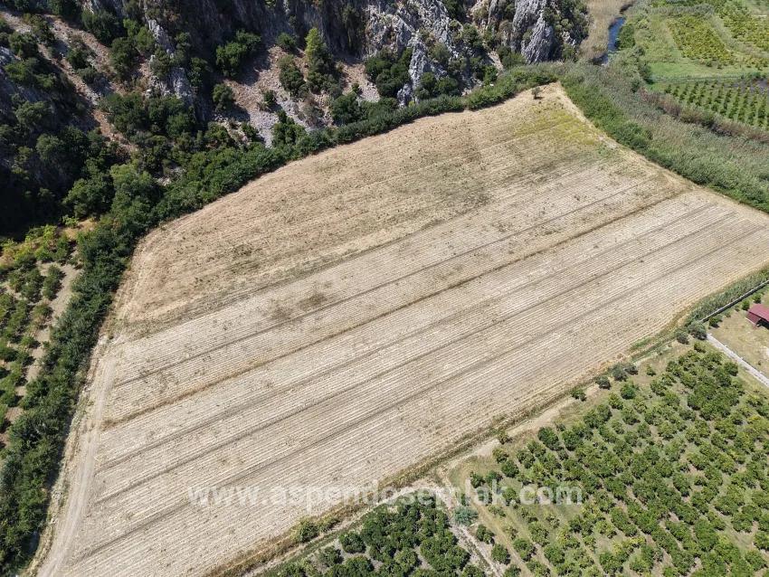 Feld Zu verkaufen in Dalyan Bz. Ortaca - Feld-Zonierung - 20.786 m²