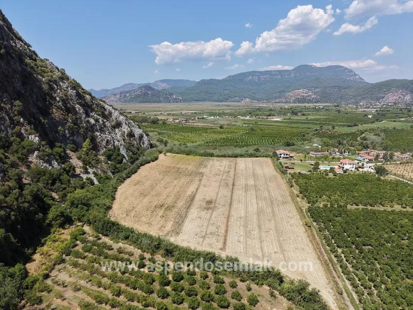Feld Zu verkaufen in Dalyan Bz. Ortaca - Feld-Zonierung - 20.786 m²