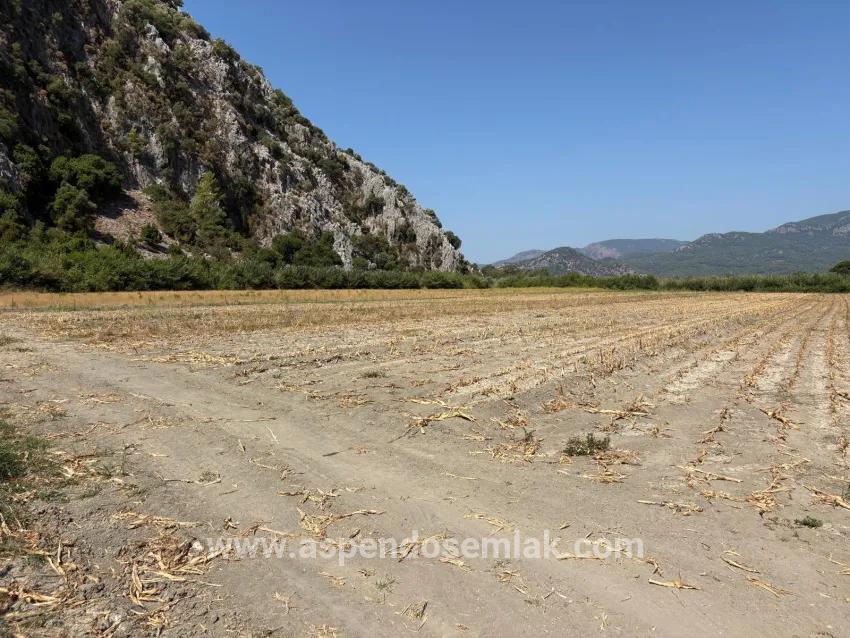 Feld Zu verkaufen in Dalyan Bz. Ortaca - Feld-Zonierung - 20.786 m²