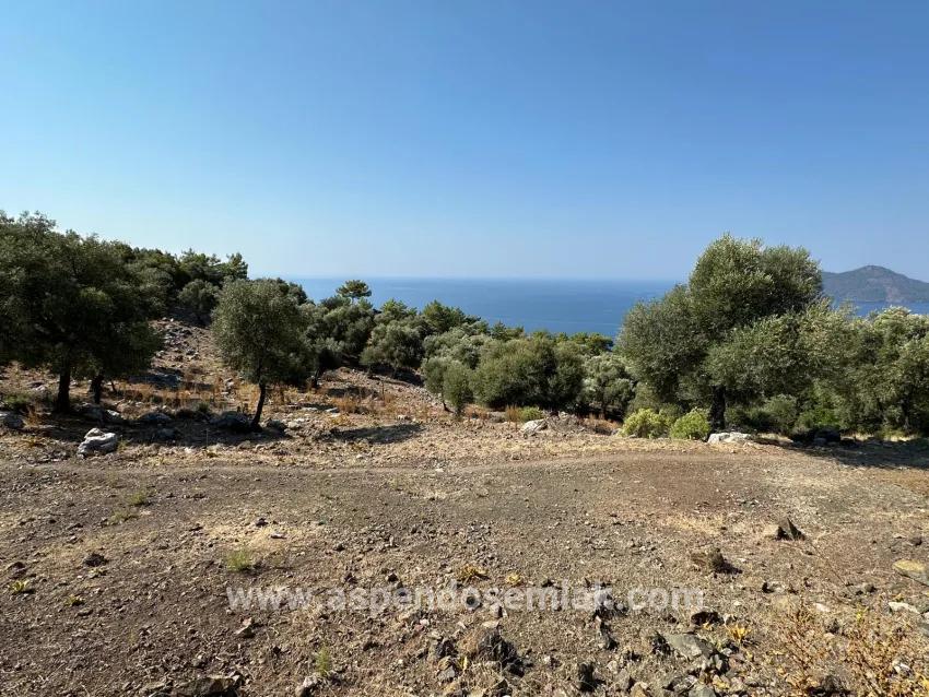 Feld Zu verkaufen in Çandır Bz. Köyceğiz - Feld-Zonierung - 21.000 m²