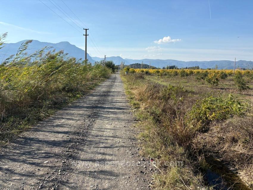Feld Zu Verkaufen in Eskiköy Bz. Ortaca - Feld-Zonierung - 21.500 m²