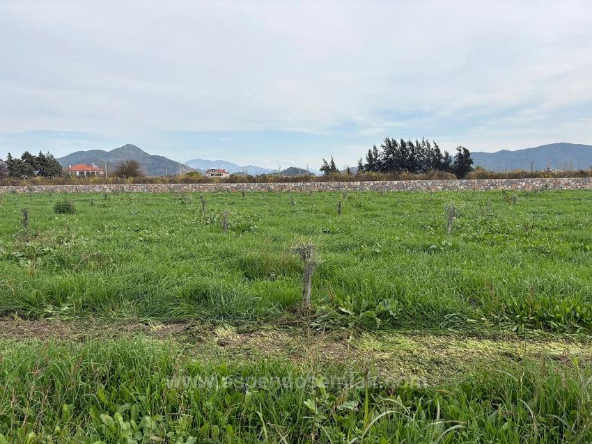 19.663 M² Ackerland Und Haus In Eskiköy