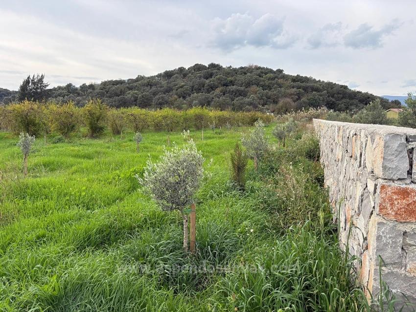 19.663 M² Ackerland Und Haus In Eskiköy