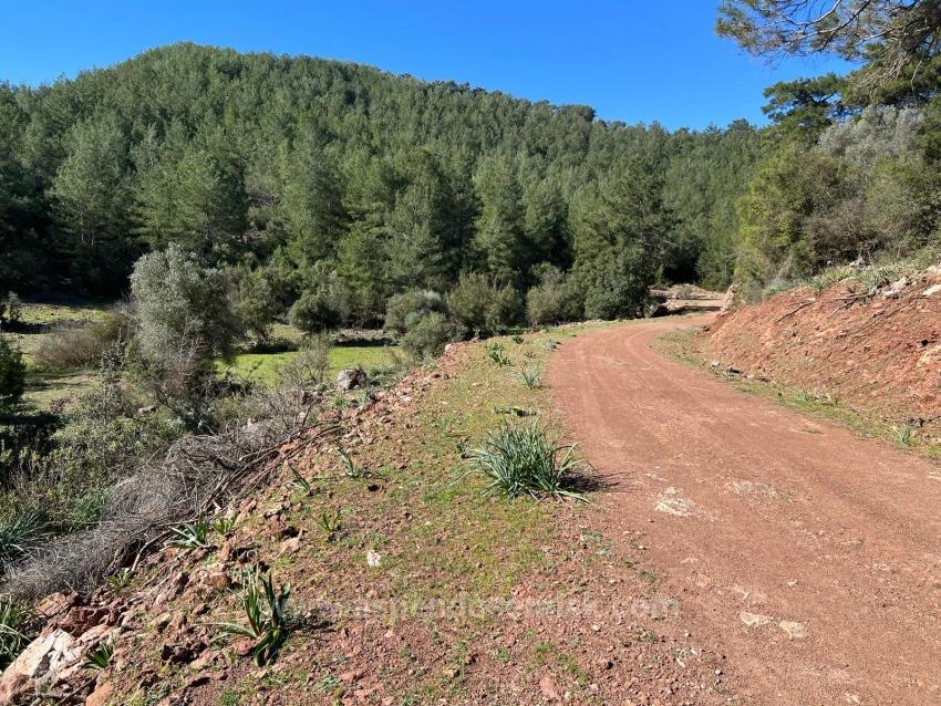Grundstück Zum Verkauf In Gökbel, Umgeben Von Natur Und Wald.