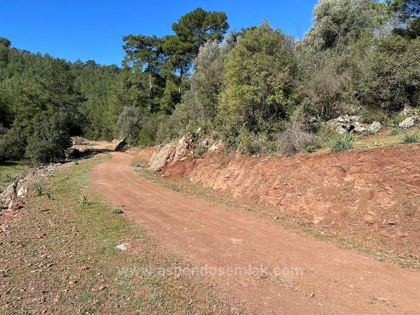 Grundstück Zum Verkauf In Gökbel, Umgeben Von Natur Und Wald.