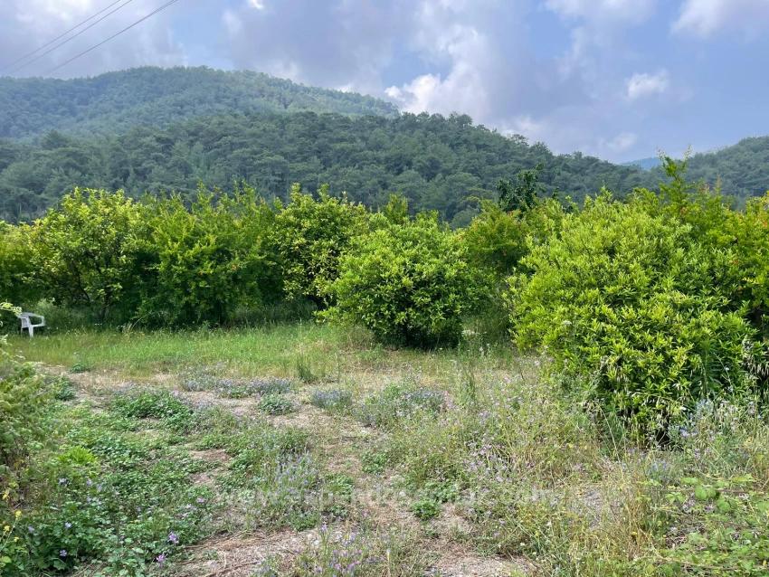 7800 M² Großes Grundstück Zum Verkauf In Gökbel, Neben Der Iztuzu Beach Road