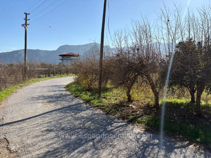 4.541 M² Großer Garten Zum Verkauf In Dalyan.