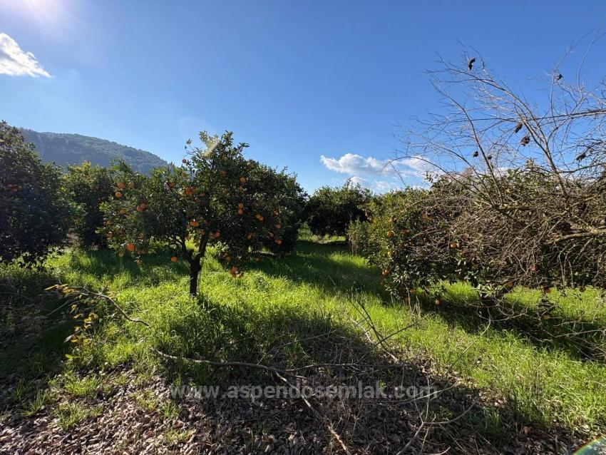 4.326 M² Großes Grundstück Im Wohngebiet Von Okçular Zu Verkaufen.