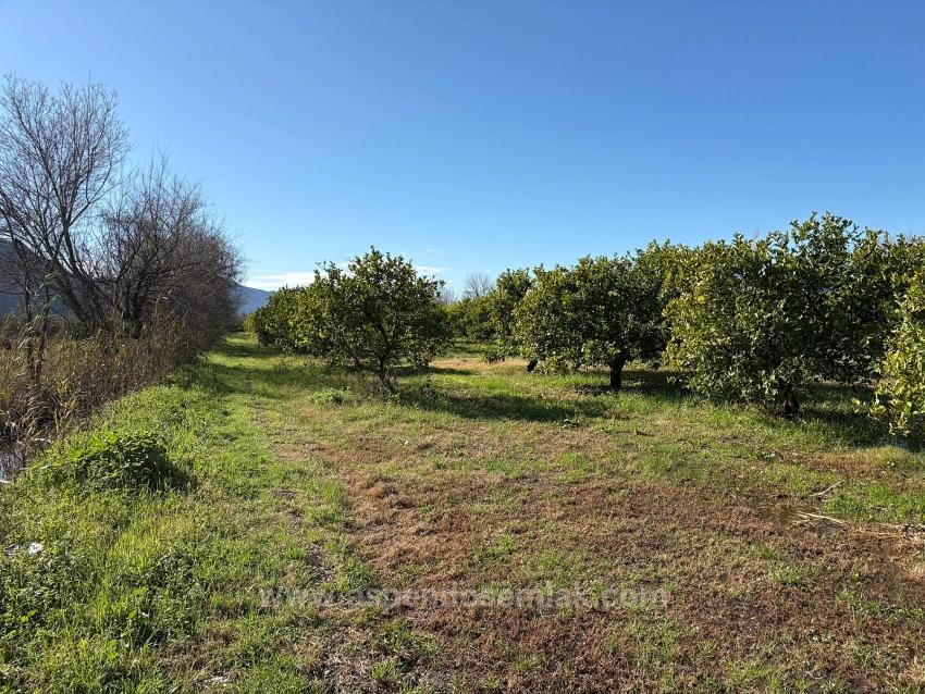 Feld Zu Verkaufen in Dalyan Bz. Ortaca - Feld-Zonierung - 16.500 m²