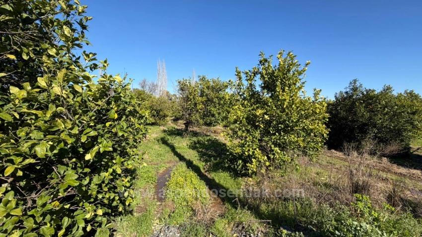 2.218M2 Grundstück Zum Verkauf In Okçular Marmarlı