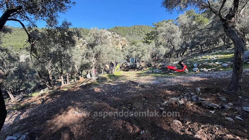 Feld Zu verkaufen in Çandır Bz. Köyceğiz - Gehäuse-Zonierung - 5.715 m²