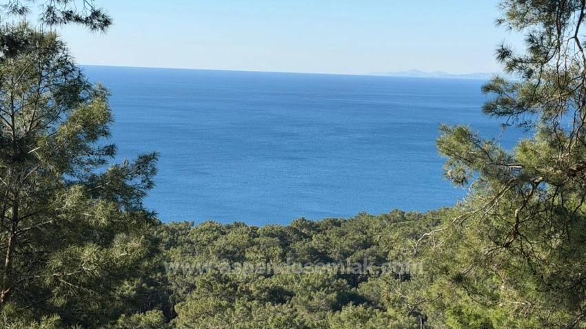 Feld Zu verkaufen in Çandır Bz. Köyceğiz - Gehäuse-Zonierung - 5.715 m²
