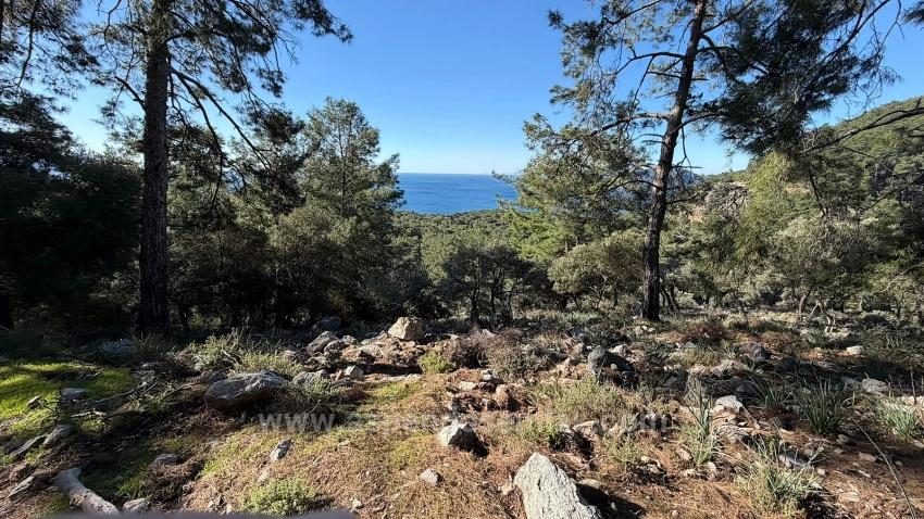 Feld Zu verkaufen in Çandır Bz. Köyceğiz - Gehäuse-Zonierung - 5.715 m²