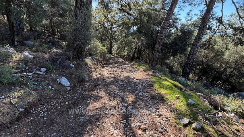 2B-Feld Von 5715 M2 Zum Verkauf Mit Vollem Meerblick In Çandır