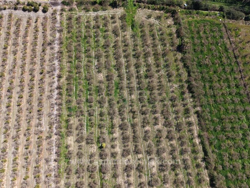 16.710 M² Granatapfelgarten Zum Verkauf Mit Seeblick In Eskiköy