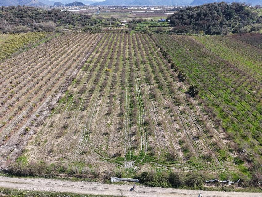 16.710 M² Granatapfelgarten Zum Verkauf Mit Seeblick In Eskiköy