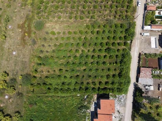 Grundstück Zum Verkauf In Okçular, 1050 M², Im Wohngebiet Des Dorfes.