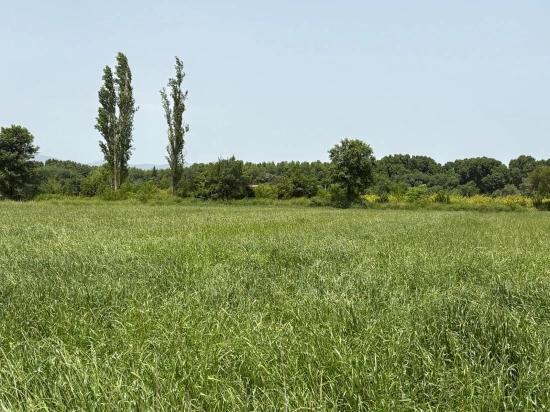 2100 M2 Großes Grundstück Zum Verkauf In Okçular Marmaris.