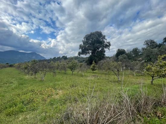 Boutique-hotel Und Bungalows Auf Einem 11.000 M² Großen Grundstück In Dalyan Zu Verkaufen