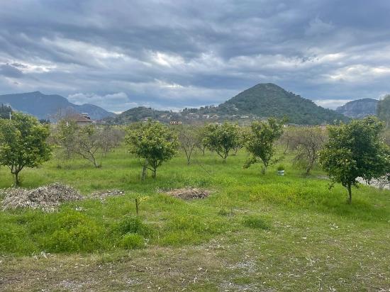 Boutique-hotel Und Bungalows Auf Einem 11.000 M² Großen Grundstück In Dalyan Zu Verkaufen