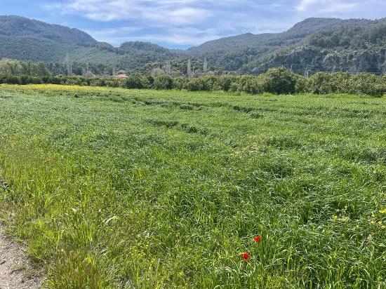 In Okçular Einem 736M2 Großen, 250M2 Großen Bau Genehmigten Verkäuflichen Grundstück