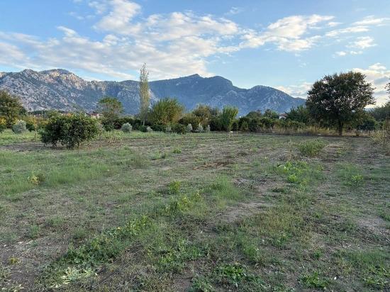 7.450 M² Großes Grundstück In Dalyan Mit 5%iger Zonierung Zu Verkaufen.