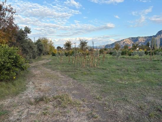 7.450 M² Großes Grundstück In Dalyan Mit 5%iger Zonierung Zu Verkaufen.