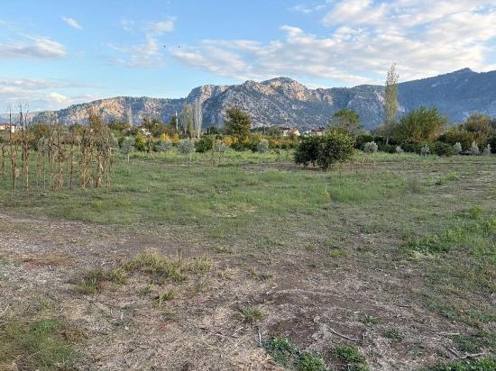 7.450 M² Großes Grundstück In Dalyan Mit 5%iger Zonierung Zu Verkaufen.