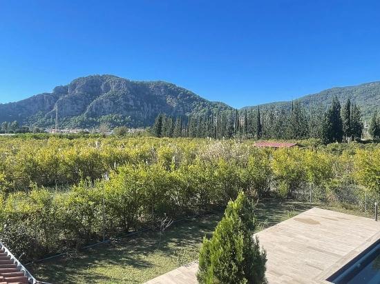 4+2 Villa Zum Verkauf Auf Einem 6000 M² Großen Grundstück In Dalyan Gülpınar