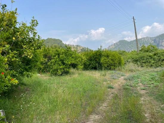7800 M² Großes Grundstück Zum Verkauf In Gökbel, Neben Der Iztuzu Beach Road