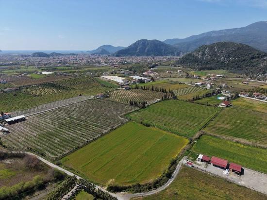 17.550 M2 Weinberg-bahce Zum Verkauf In Der Nähe Des Dalyan Centers