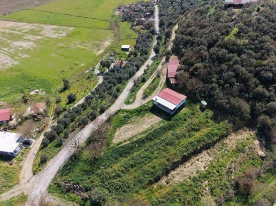 16.710 M² Granatapfelgarten Zum Verkauf Mit Seeblick In Eskiköy