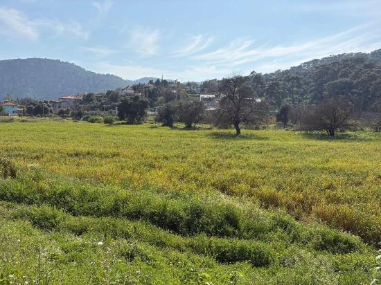 2.023 M² Großes Grundstück In Çandır Village, Köyceğiz, Zu Verkaufen, Mit Miteigentum Und Freiwilliger Aufteilung.