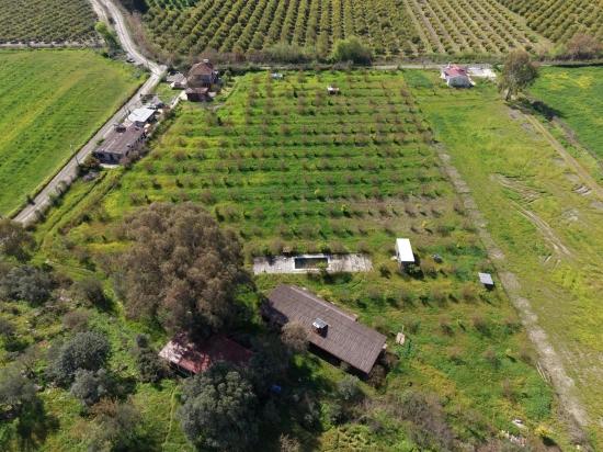 Tourismusorientiertes Unternehmen Auf Einem 11.000 M² Großen Grundstück In Eskiköy Zu Verkaufen.