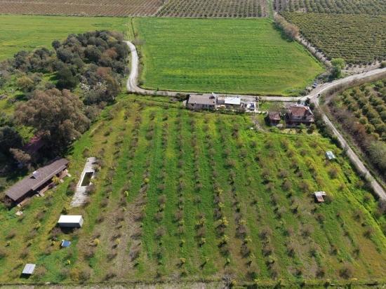 Tourismusorientiertes Unternehmen Auf Einem 11.000 M² Großen Grundstück In Eskiköy Zu Verkaufen.