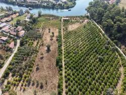 Feld Zu verkaufen in Çandır Bz. Köyceğiz - Feld-Zonierung - 20.000 m²