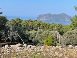 Feld Zu Verkaufen in Çandır Bz. Köyceğiz - Gehäuse-Zonierung - 10.481 m²