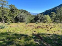 Feld Zu Verkaufen in Gökbel Bz. Ortaca - Feld-Zonierung - 24.163 m²