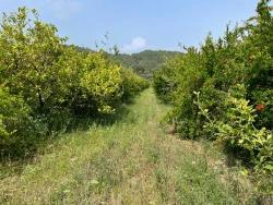 Feld Zu Verkaufen in Gökbel Bz. Ortaca - Gehäuse-Zonierung - 7.800 m²