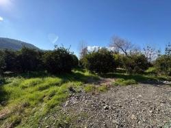 Land Zu Verkaufen in Okçular Bz. Ortaca - Gehäuse-Zonierung - 4.326 m²