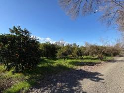 Land Zu Verkaufen in Okçular Bz. Ortaca - Gehäuse-Zonierung - 4.326 m²