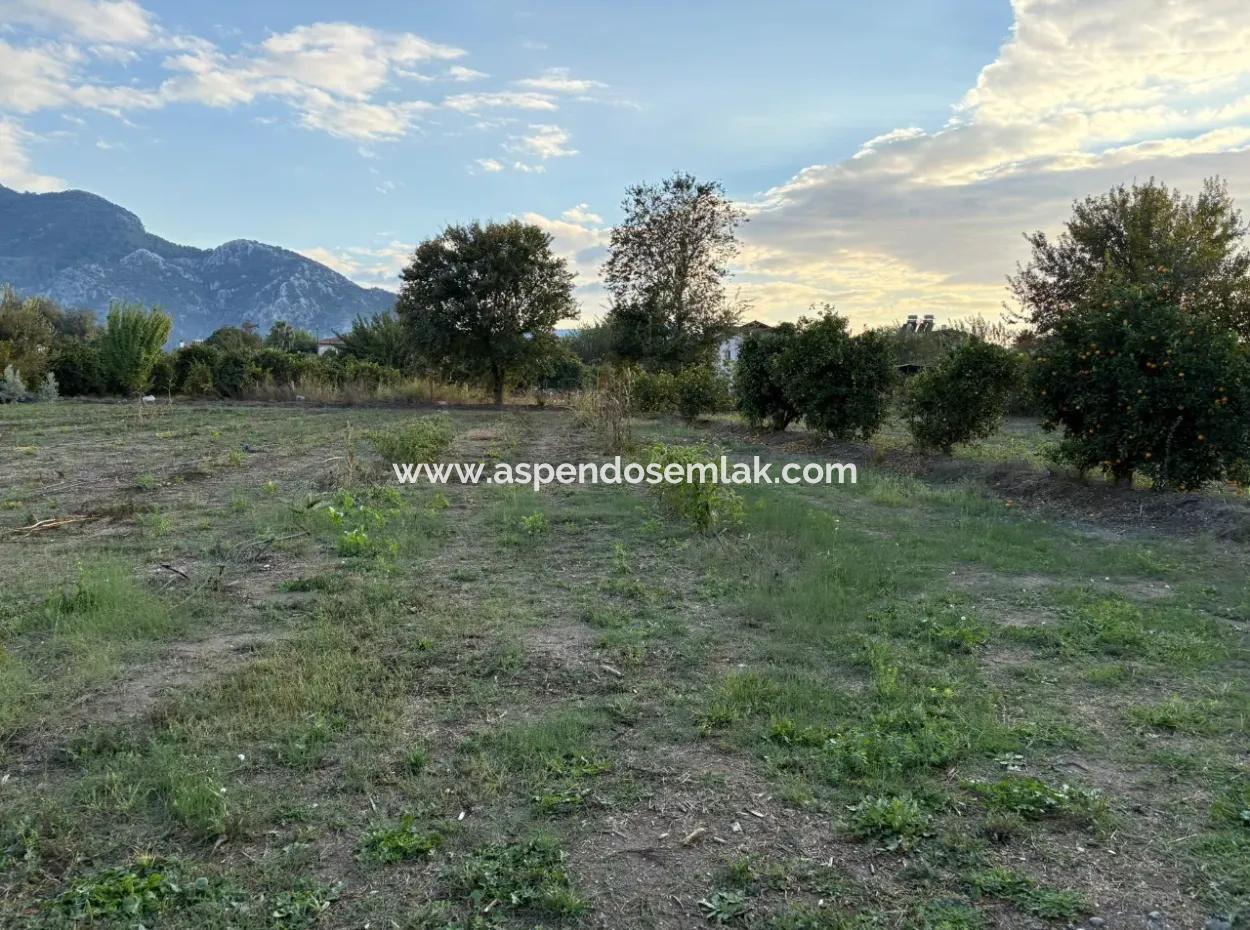 7.450M2 Land Zum Verkauf In Der Nähe Des Zentrums Von Dalyan