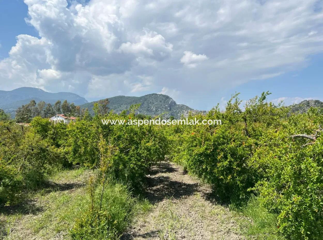 5.100 M2 Land Zum Verkauf In Der Gegend Von Dalyan Maraş Mit 5% Wohnzone