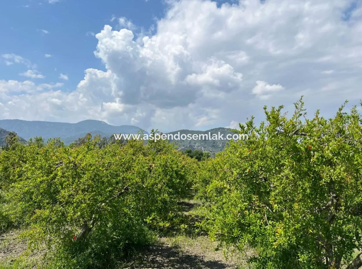 5.100 M2 Land Zum Verkauf In Der Gegend Von Dalyan Maraş Mit 5% Wohnzone