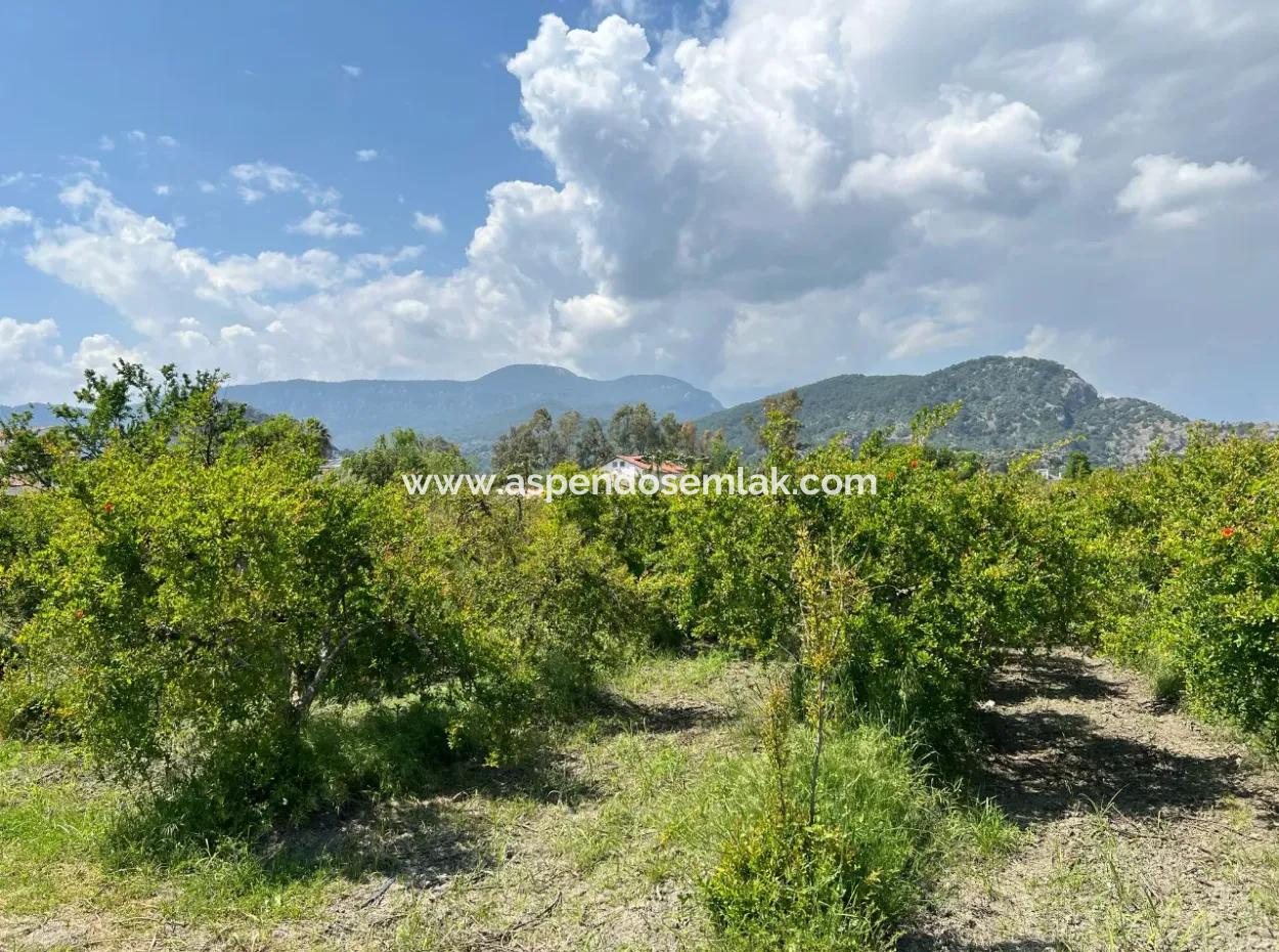 5.100 M2 Land Zum Verkauf In Der Gegend Von Dalyan Maraş Mit 5% Wohnzone