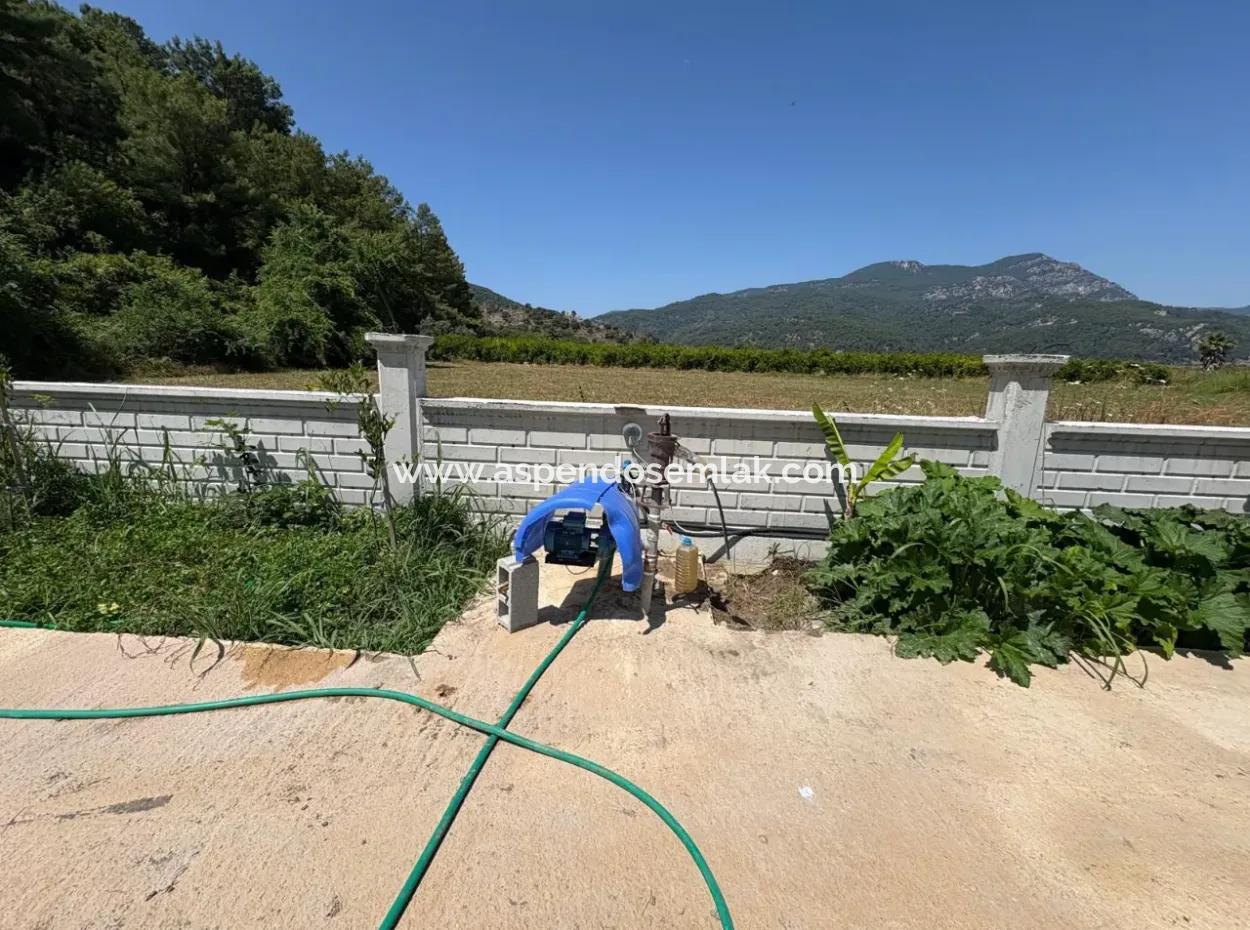 120M2 Freistehendes Holzhaus Auf Einem 2500M2 Großen Feld In Dalyan Karadağ